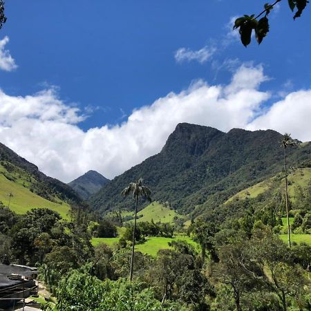 Cabanas Valle Del Cocora La Truchera Саленто Екстериор снимка