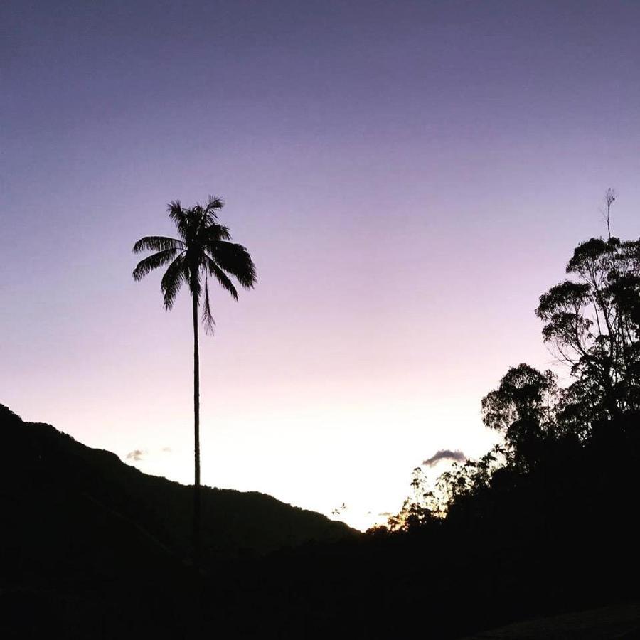 Cabanas Valle Del Cocora La Truchera Саленто Екстериор снимка