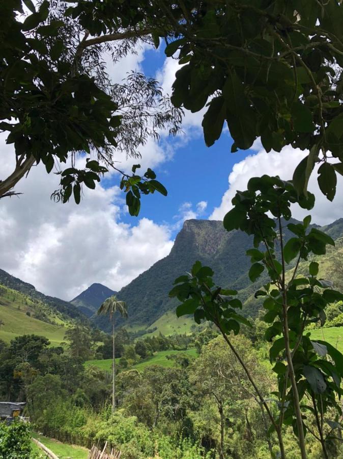 Cabanas Valle Del Cocora La Truchera Саленто Екстериор снимка