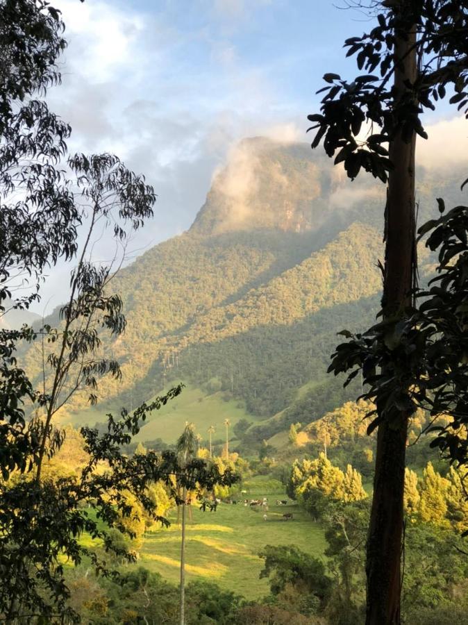 Cabanas Valle Del Cocora La Truchera Саленто Екстериор снимка
