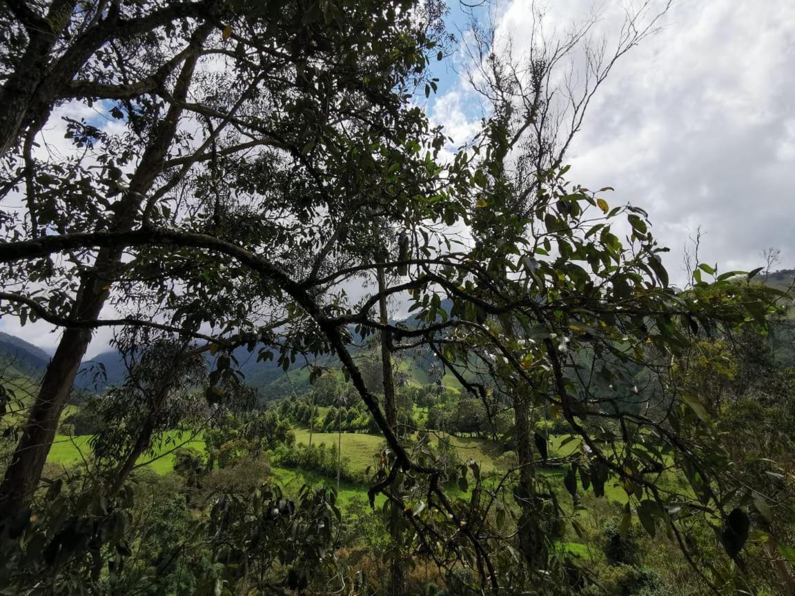 Cabanas Valle Del Cocora La Truchera Саленто Екстериор снимка