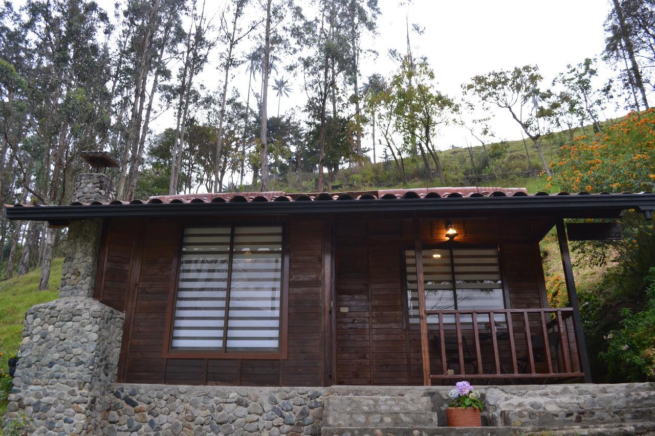Cabanas Valle Del Cocora La Truchera Саленто Екстериор снимка