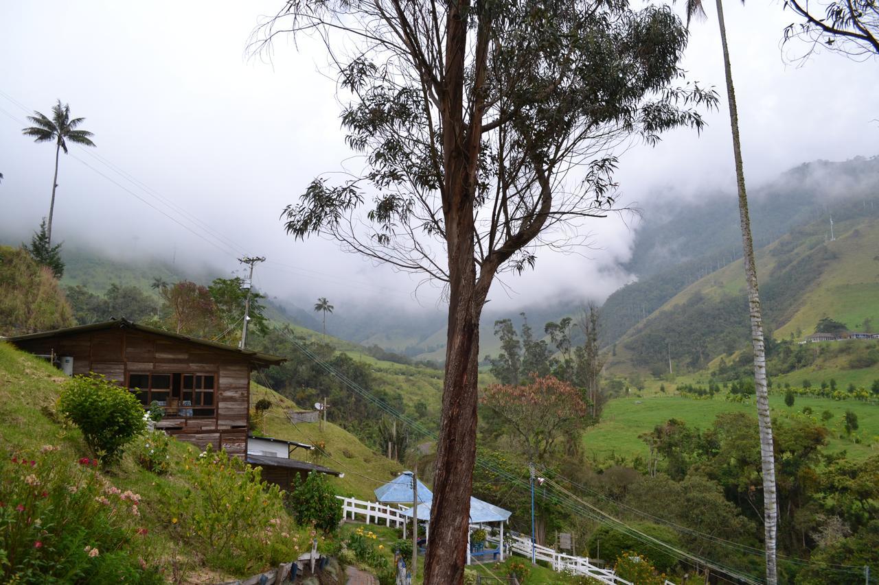 Cabanas Valle Del Cocora La Truchera Саленто Екстериор снимка