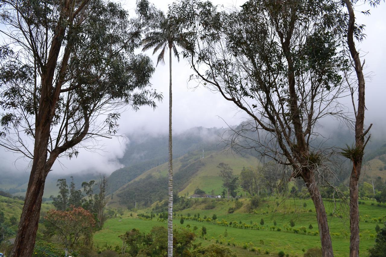 Cabanas Valle Del Cocora La Truchera Саленто Екстериор снимка