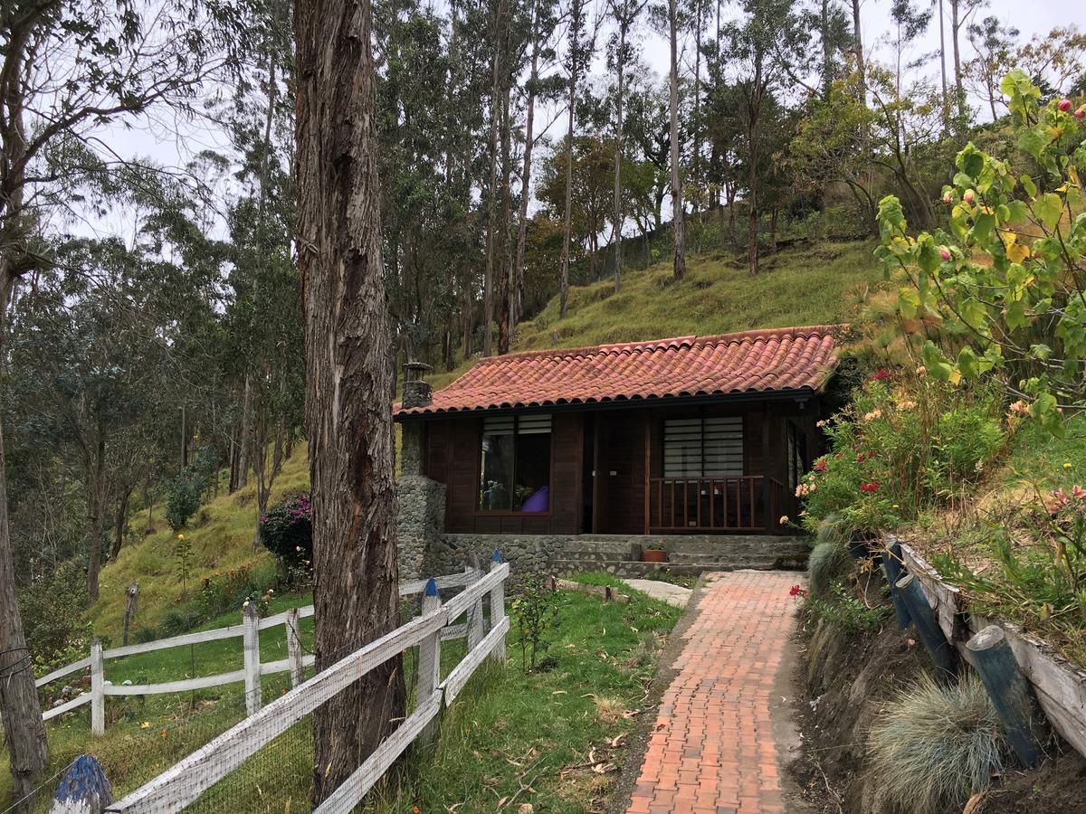 Cabanas Valle Del Cocora La Truchera Саленто Екстериор снимка
