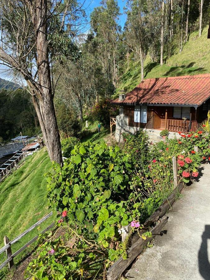 Cabanas Valle Del Cocora La Truchera Саленто Екстериор снимка