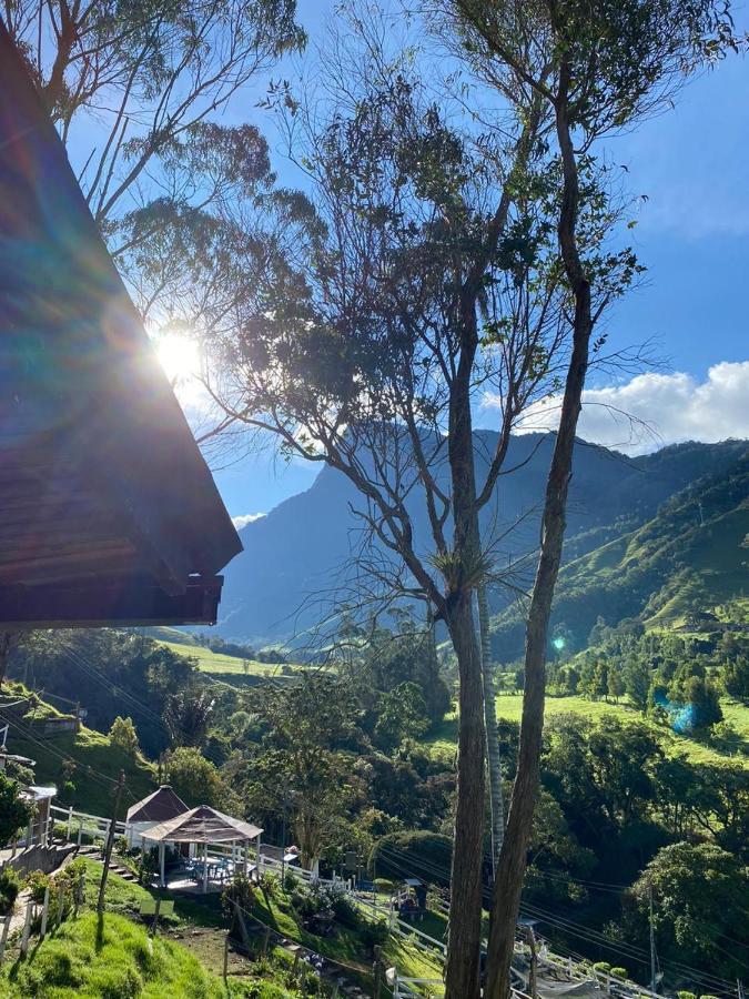 Cabanas Valle Del Cocora La Truchera Саленто Екстериор снимка
