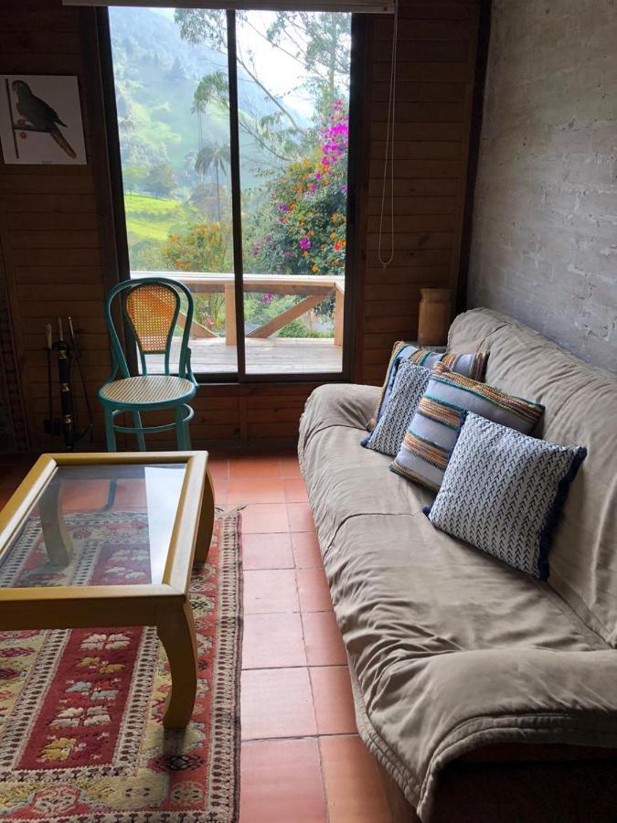 Cabanas Valle Del Cocora La Truchera Саленто Екстериор снимка