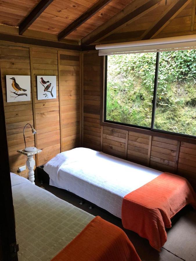 Cabanas Valle Del Cocora La Truchera Саленто Екстериор снимка