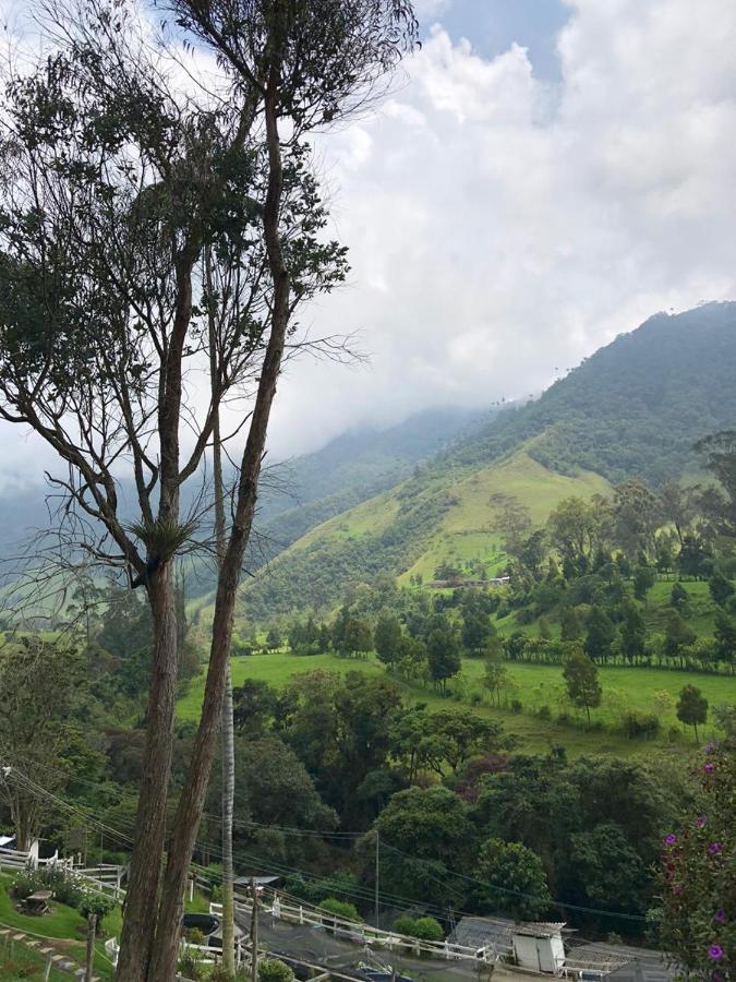 Cabanas Valle Del Cocora La Truchera Саленто Екстериор снимка