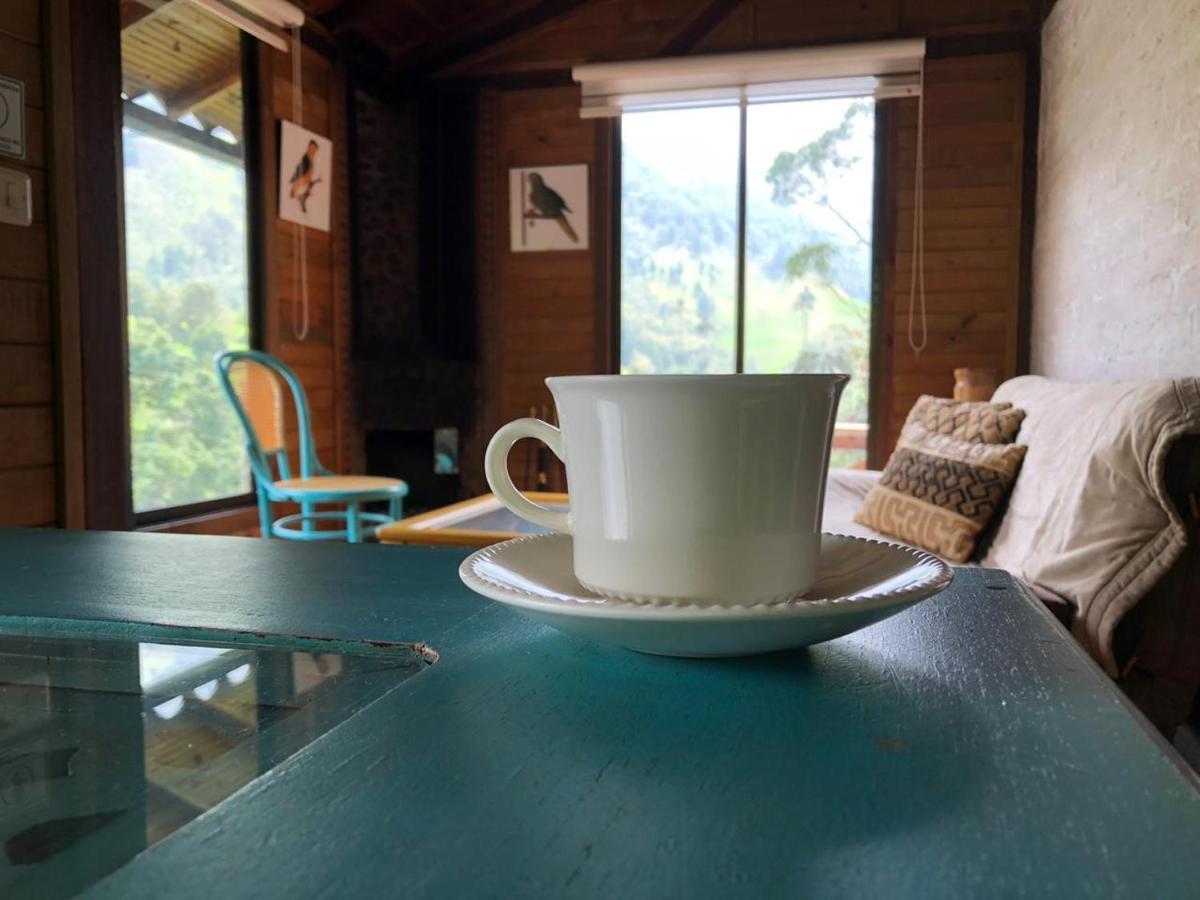 Cabanas Valle Del Cocora La Truchera Саленто Екстериор снимка